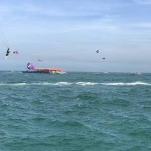 Meet your Posher, Wai